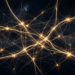 The web that connects us all